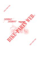 AUFKLEBER für Triumph STREET TRIPLE 675 2013 -