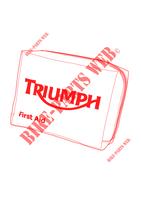 ERSTE   HILFE   KASTEN DIN 13167 für Triumph STREET TRIPLE 675 R 2013 - 2016